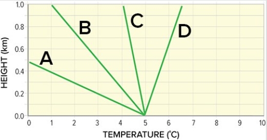 <strong>Which of the following environmental lapse rates represent the most unstable conditions? </strong> A)A B)B C)C D)D