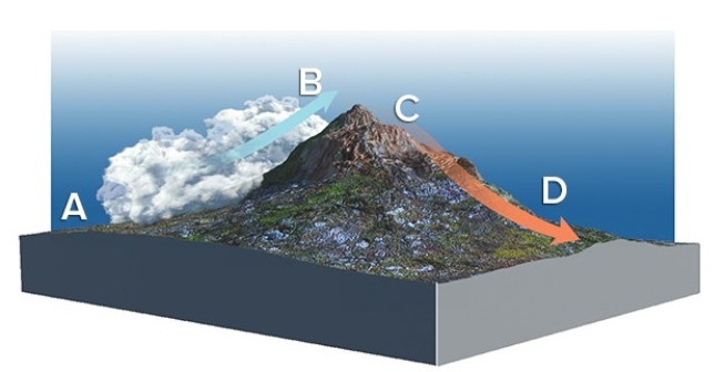 <strong>Given the prevailing wind direction indicated by the arrow,where would you expect temperatures to be warmest and the humidity lowest? </strong> A)A B)B C)C D)D