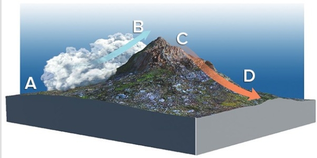 <strong>Given the prevailing wind direction indicated by the arrow,where would you expect air to be cooling at the saturated adiabatic lapse rate? </strong> A)A B)B C)C D)D