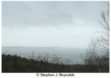 <strong>These clouds are not precipitating and covers the entire sky,forming a low blanket of clouds that causes overcast conditions.These are </strong> A)stratus. B)nimbostratus. C)altostratus. D)cirrostratus.
