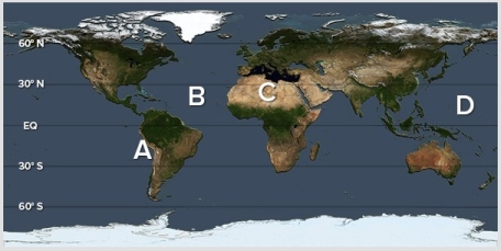<strong>Which of the following locations would be most prone to an advection fog? </strong> A)A B)B C)C D)D