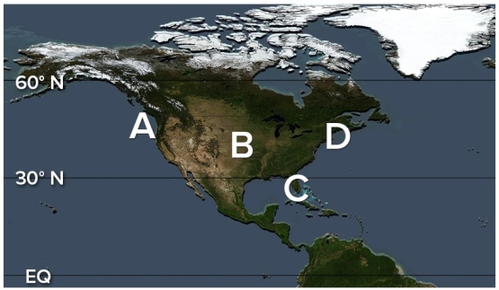 <strong>Which of the following locations has the best setting for creating radiation fogs? </strong> A)A B)B C)C D)D