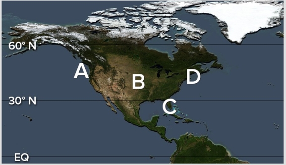 <strong>Which of the following locations has a high incidence of fogs caused by relatively warm,maritime air passing over a cold land surface? </strong> A)A B)B C)C D)D