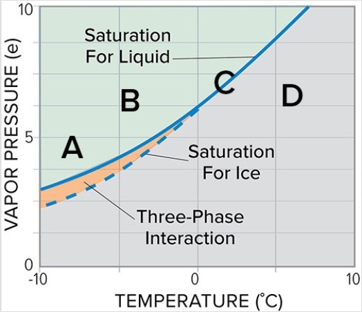 <strong>At what point on this water vapor saturation curve graph will water vapor be deposited on ice crystals while liquid water droplets will evaporate? </strong> A)A B)B C)C D)D