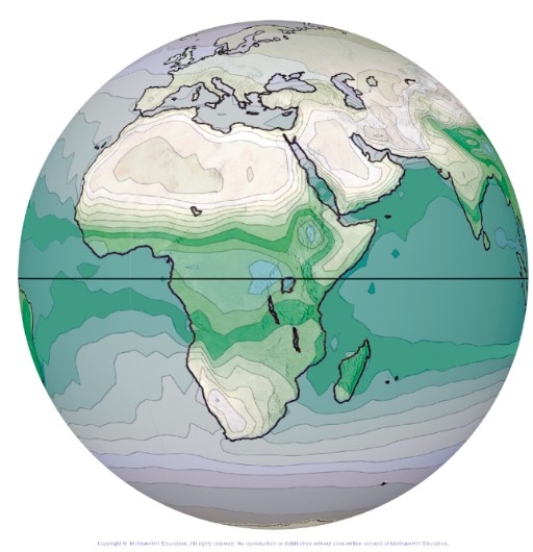<strong>This globe from the atmospheric moisture investigation shows specific humidity,with blue and green being highest.What feature most likely coincides with the area of lowest specific humidity? </strong> A)The Intertropical Convergence Zone (ITCZ) B)Dry,descending air in the subtropics C)The trade winds D)The cold dry air of the polar easterlies