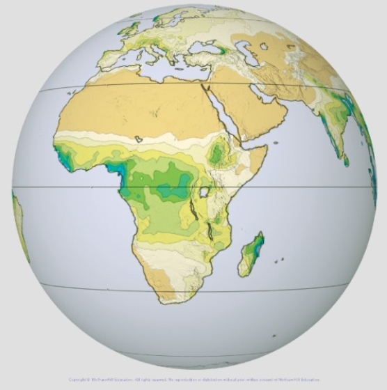 This globe from the atmospheric moisture investigation shows precipitation,with higher amounts in green and blue.Which of the following regions has the highest average amount of precipitation?