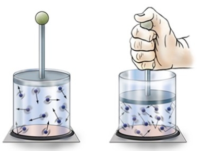 <strong>Pushing down on the sealed glass container causes </strong> A)increased volume and pressure increases. B)decreased volume and pressure increases. C)decreased volume and pressure decreases. D)increased volume and pressure decreases.