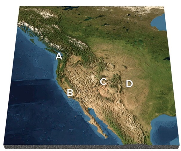 <strong>Which of the following locations has the greatest chance of experiencing Chinook winds? </strong> A)A B)B C)C D)D
