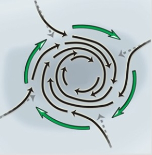 <strong>This diagram features a </strong> A)cyclone,southern hemisphere. B)cyclone,northern hemisphere. C)anticyclone,northern hemisphere. D)anticyclone,southern hemisphere.