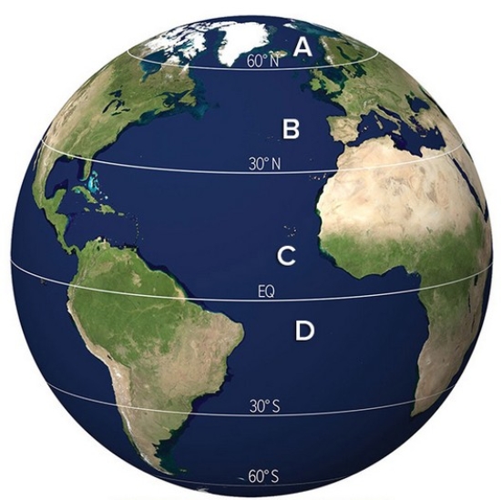 <strong>Which wind belt is located at letter B? </strong> A)Westerlies B)Polar Easterlies C)Northeast Trade Winds D)Southeast Trade Winds