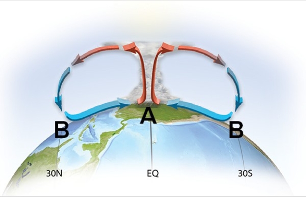 <strong>Which represents the proper pressure cell arrangement for the Hadley Cell? </strong> A)Low pressure at A,high pressure at B B)High pressure at A,low pressure at B C)High pressure at A,high pressure at B D)Low pressure at A,low pressure at B