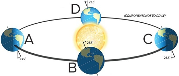 <strong>Which of the letters represents the summer solstice for the Northern Hemisphere? </strong> A)A B)B C)C D)D