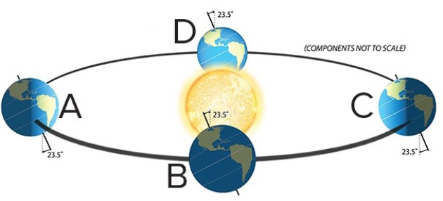<strong>On March 21,the sun will be directly overhead at </strong> A)A. B)B. C)C. D)D.