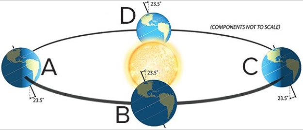 <strong>Which of the following letters represents when the sun is directly overhead at the Tropic of Capricorn? </strong> A)A B)B C)C D)D