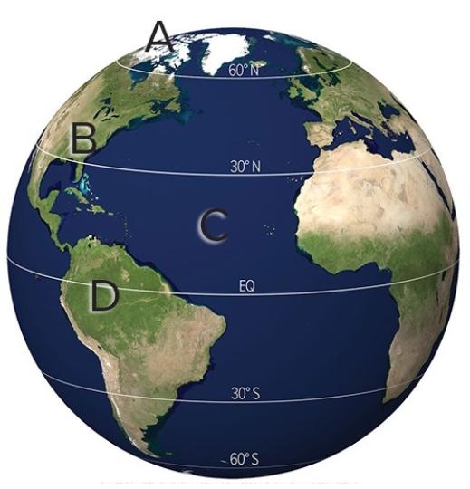 <strong>Which of the following locations would experience a slight radiative energy deficit? </strong> A)A B)B C)C D)D
