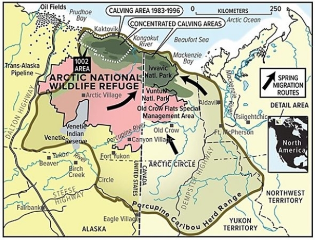 <strong>On the map below,all of the following would be considered interpretations except </strong> A)spring migration routes. B)Ivvavic National Park. C)concentrated calving areas. D)porcupine caribou herd range.
