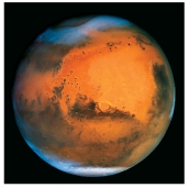 <strong>This planet has bedrock,reddish dust,and ice caps.What planetary body is it?  </strong> A)Mars B)Venus C)Earth's moon D)Mercury E)Neptune <div style=padding-top: 35px> 