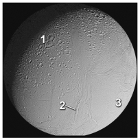 <strong>Which of these numbered areas on Enceladus,a moon of Jupiter,is probably the oldest?  </strong> A)1,a heavily cratered terrain B)2,tectonic belts that cut across the cratered terrain C)3,less cratered plains D)there is not enough information to tell <div style=padding-top: 35px> 