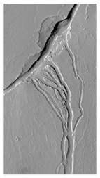 <strong>What do these channels indicate about past events on Mars?  </strong> A)there were explosive volcanic eruptions B)strong winds eroded into a series of volcanic layers C)the surface once had running water that eroded and deposited sediment D)glaciers once covered the entire planet <div style=padding-top: 35px> 