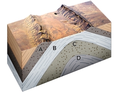 <strong>Which site would most likely contain oil in the subsurface? </strong> A)A,a permeable sandstone B)B,an impermeable shale C)C,a permeable sandstone D)D,an impermeable shale