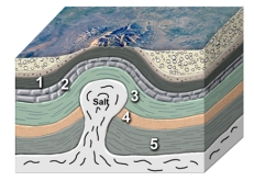 <strong>Which site in the accompanying figure is the most likely setting for an oil field? </strong> A)shales at 1,3,and 5 B)limestone at 2 C)sandstone at 4 D)both 2 and 3 E)both 2 and 4