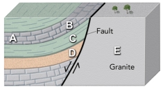 <strong>Which site in the accompanying figure is the most likely setting for an oil field? </strong> A)limestone at A B)limestone at B C)shale at C D)sandstone at D E)granite at E