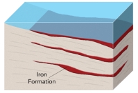 <strong>How did large iron deposits,called banded iron formations,form? </strong> A)hot water circulates along the margins of a caldera B)groundwater mixes with seawater in the subsurface C)magma releases metal-rich fluids that replace reactive rocks D)an increase in oxygen in Earth's atmosphere caused seas to precipitate beds of iron-rich minerals