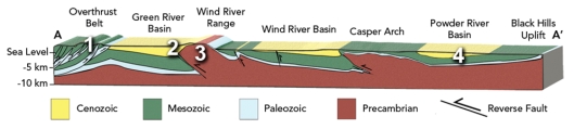 <strong>Which setting in this cross section of Wyoming would most likely trap oil in the subsurface? </strong> A)1,the overthrust belt,which has shuffled sedimentary rocks B)2,where sedimentary rocks of the Green River Basin have been overridden beneath the Wind River Range C)3,the top of the Wind River Range,which is an anticline composed of Precambrian granite and metamorphic rocks D)the Powder River Basin,which has coal bends in a syncline E)both 1 and 2