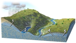 <strong>Each number on this figure refers to a location with groundwater in a subsurface material that is consistent in character across the entire figure.Of these locations,which one has the water table most clearly above the surface?  </strong> A)1 B)2 C)3 D)4 E)5 <div style=padding-top: 35px> 