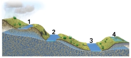 <strong>Which of these four lakes could be replenished by groundwater?  </strong> A)1 and 2 B)2 and 3 C)3 and 4 D)1 and 4 E)none of these <div style=padding-top: 35px> 