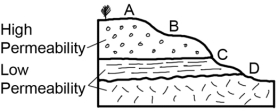Which of the sites on this cross section would be the most likely place for a spring?