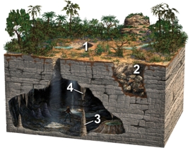 Which of these four numbered features on the surface or in a cave are formed by the precipitation of calcium carbonate,due to the evaporation of water?