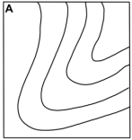 This map shows elevations of the water table beneath an area.Which of the following maps is the correct contour map for the water table elevations shown?