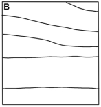 This map shows elevations of the water table beneath an area.Which of the following maps is the correct contour map for the water table elevations shown?