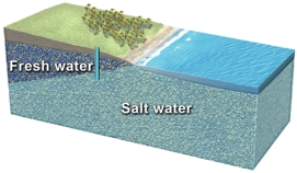 What could happen if this well is overpumped?  