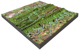 <strong>What is the mostly likely setting for this drainage pattern? </strong> A)the rocks have a relatively equal resistance to erosion B)drainages have followed a series of fractures that branch off of one another C)the area has folded or faulted rocks with different resistances to erosion D)a volcano once existed here but has been partly eroded away