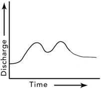 <strong>What is a reasonable interpretation for the flow event recorded by this hydrograph? </strong> A)there were two pulses of runoff because there were two storms B)the drainage basin has several distinct parts C)one pulse could be due to snowmelt and the other to rain D)all of these