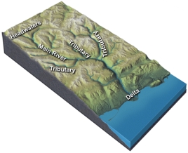 <strong>What happens to a river as it flows through a delta and encounters the sea? </strong> A)the discharge and water velocity increase B)the maximum sediment grain size carried by the river increases C)the total sediment load carried by the river decreases D)all of these