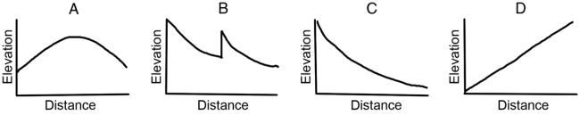 <strong>Which of the following graphs is typical for the profile of a river? </strong> A)A B)B C)C D)D