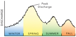 <strong>On this graph of discharge versus season for a river in the Rocky Mountains,why is the highest runoff likely to be in the spring? </strong> A)winter snow melts in the spring B)the Rocky Mountains have many tornadoes during the spring C)the Rocky Mountains experience hurricanes in the spring D)all of these