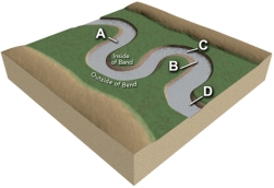 <strong>Which site along this stream would have the highest velocity for that segment of the stream? </strong> A)A B)B C)C D)D