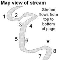 <strong>Where would be the relatively safest place to build a bridge across the stream in the accompanying figure? </strong> A)between points 1 and 2 B)between points 3 and 4 C)between points 5 and 6 D)between points 7 and 8