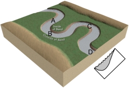 <strong>At which sites would this stream profile most likely be located? </strong> A)A and C B)B and D C)C and D D)D and A