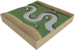 <strong>At which site along this stream would a point bar form? </strong> A)A B)B C)C D)D