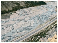 <strong>What type of stream is shown in this photograph? </strong> A)meandering stream B)braided stream C)a stream whose main channel has high sinuosity D)an esker