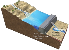 <strong>Construction of a dam results in: </strong> A)an increase in the total amount of water flowing downstream of the dam B)increased erosion by clear water released from the dam C)the dam releasing water that contains more sediment than carried by the river before the dam was constructed D)increased erosion where the stream channel meets the reservoir