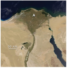 <strong>Feature A,formed where the Nile River encounters the Mediterranean Sea,is: </strong> A)a landslide B)a series of waterfalls C)a delta D)all of these