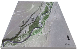 <strong>This figure shows four numbered river terraces,with 1 being the highest and 4 being the lowest.Which is the oldest terrace? </strong> A)1 B)2 C)3 D)4