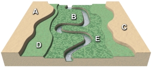 In this landscape,choose the location that you think would be best for agricultural fields.
