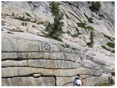 <strong>The joints in the photograph mimic topography,indicating that they formed: </strong> A)while the granite was still molten B)while the rocks were still buried at great depth C)when the weight of overlying rocks was unloaded,allowing expansion along the joints D)along a subduction zone